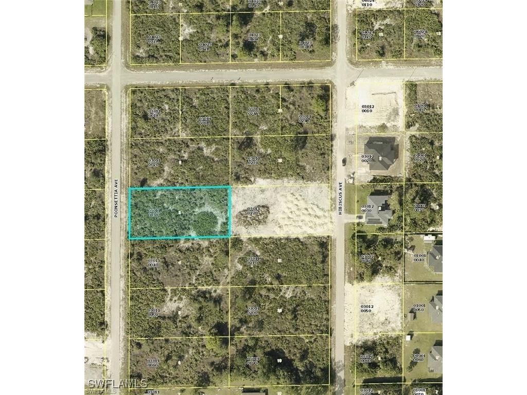 1218 Poinsettia Avenue Lehigh Acres FL 33972 225078510 image1