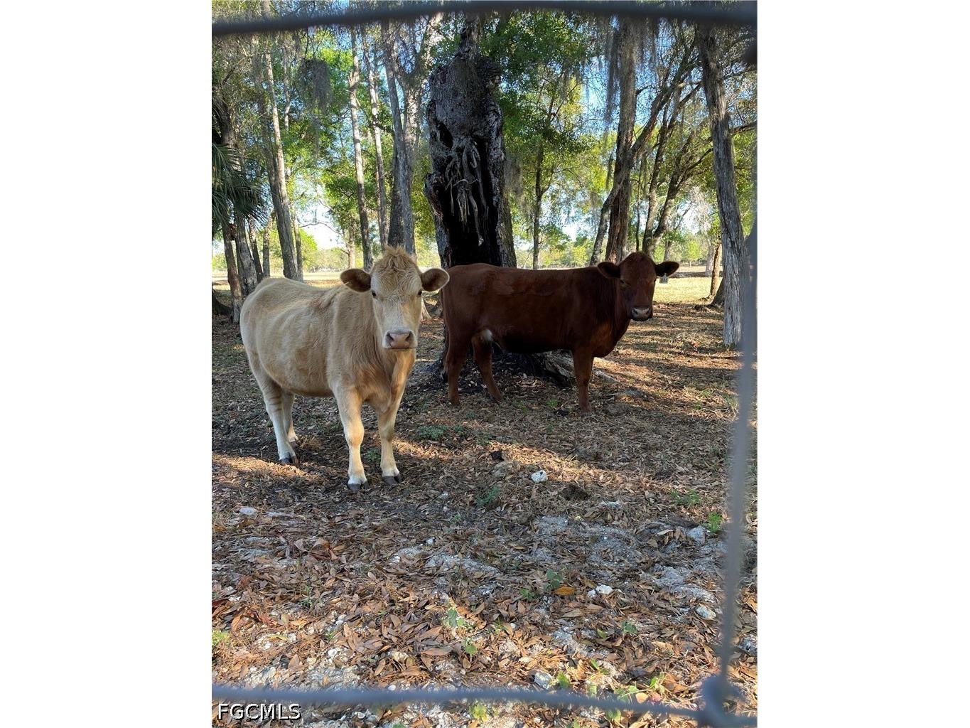 1220 A Road Labelle FL 33935 2026022552 image18