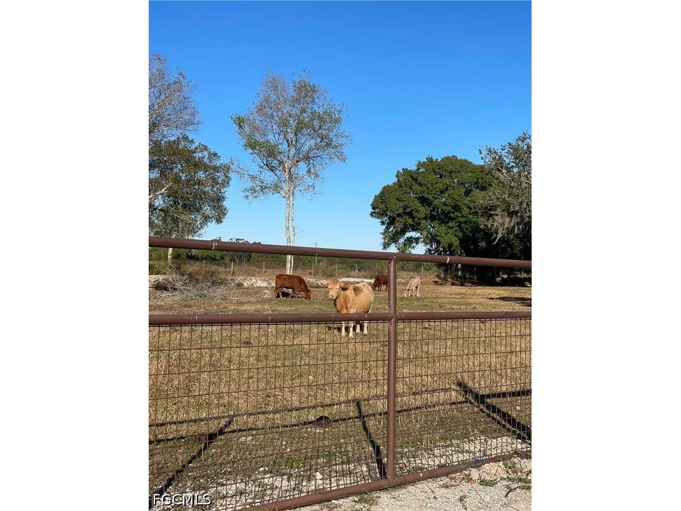 1220 A Road Labelle FL 33935 2026022552 image24