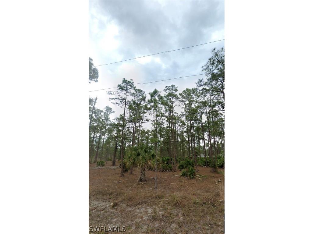 1220 Sheldon Avenue Lehigh Acres FL 33972 222087102 image1