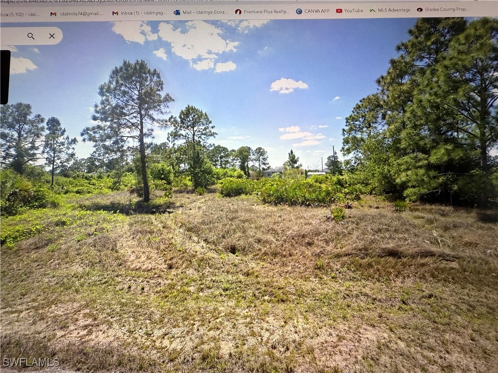 1221 Clayton Avenue Lehigh Acres FL 33972 225004433 image1