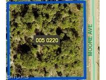 1221 Moore Avenue Lehigh Acres FL 33972 226010570 image1