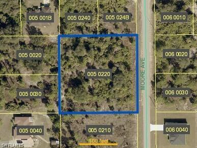 1221 Moore Avenue Lehigh Acres FL 33972 226010570 image2