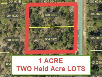 1221 Willard Avenue Lehigh Acres FL 33972 224105261 image1