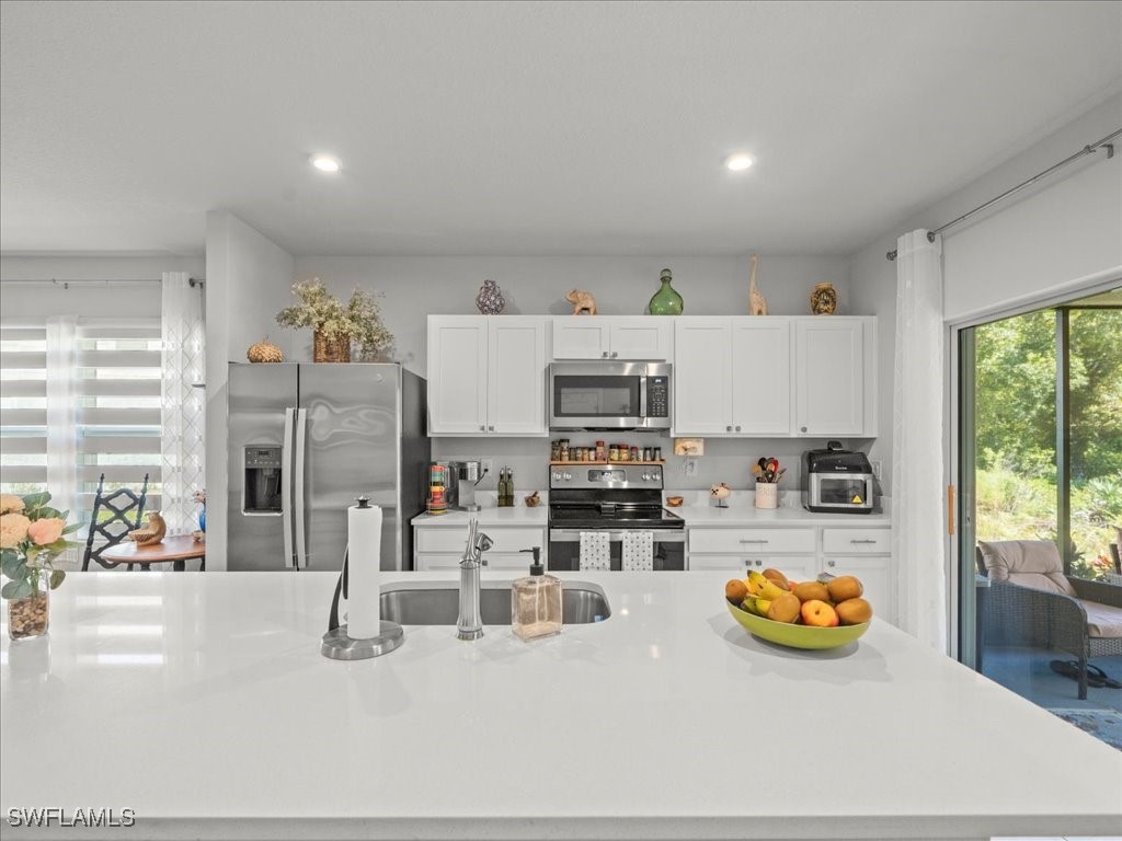 12214 Grizzly Lane New Port Richey FL 34654 225071340 image15