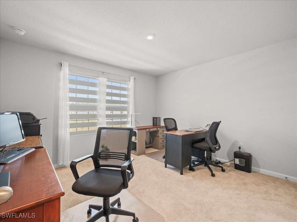 12214 Grizzly Lane New Port Richey FL 34654 225071340 image27