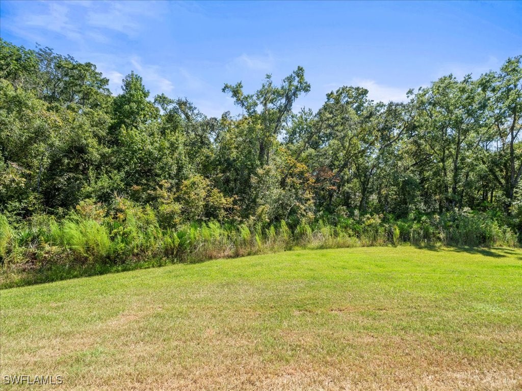 12214 Grizzly Lane New Port Richey FL 34654 225071340 image33