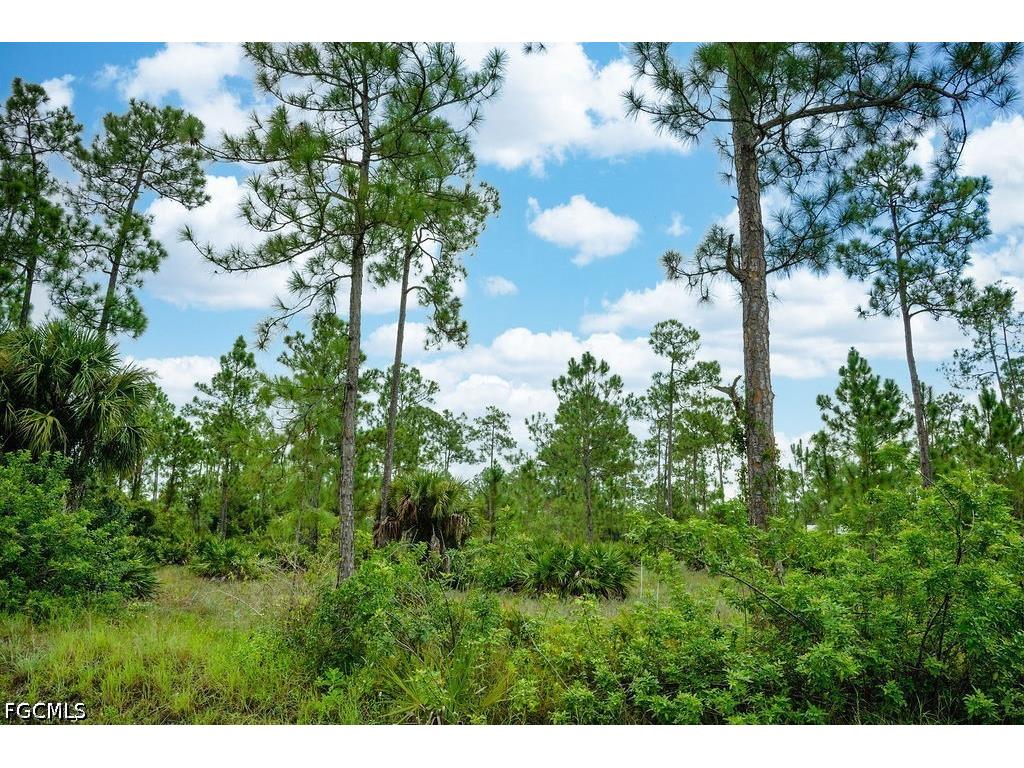 1222 North Avenue Lehigh Acres FL 33972 2026023859 image3