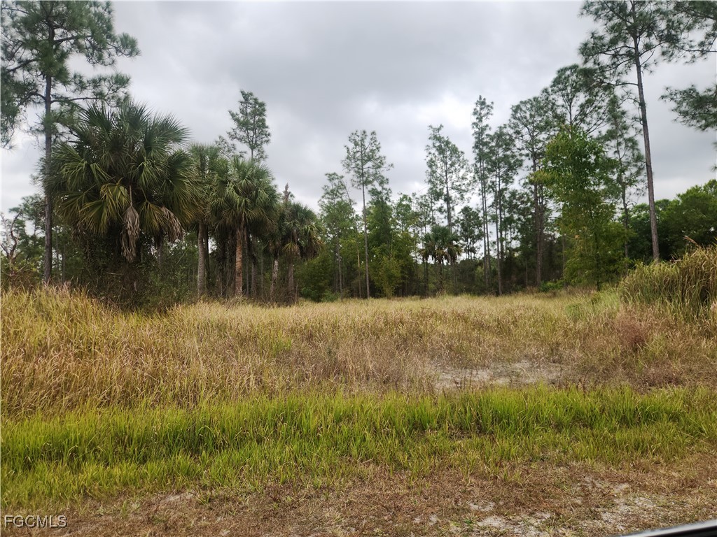 1222 Roosevelt Avenue Lehigh Acres FL 33972 2026003230 image1
