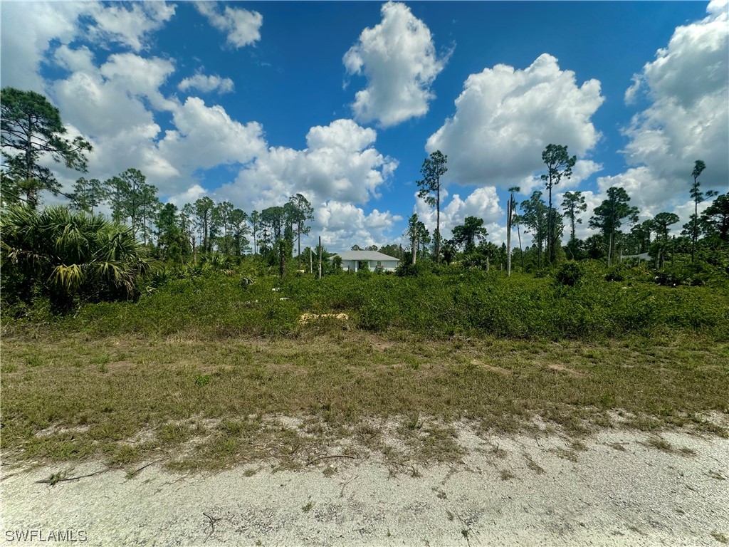 1223 Count Street E Lehigh Acres FL 33974 223030588 image1