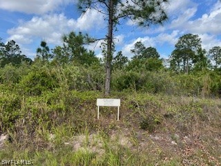 1223 Lincoln Avenue Lehigh Acres FL 33972 224028073 image1