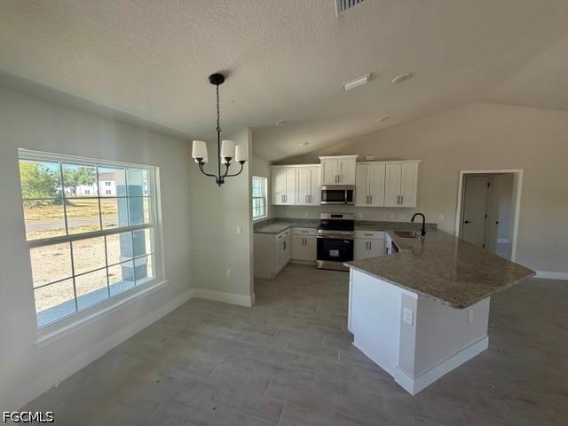 1223 NE 18th Terrace Cape Coral FL 33909 2026012595 image6