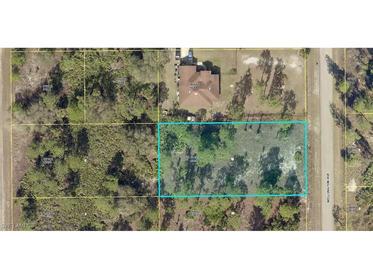 1223 Wellington Avenue Lehigh Acres FL 33972 226003220 image1