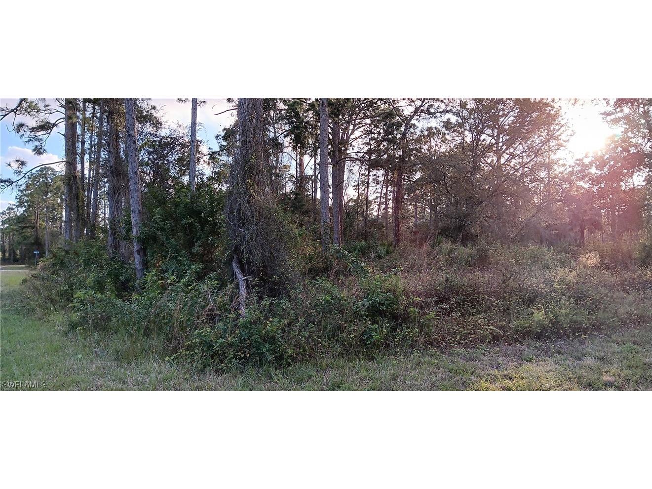 1224 Ramus Street E Lehigh Acres FL 33974 224001449 image1