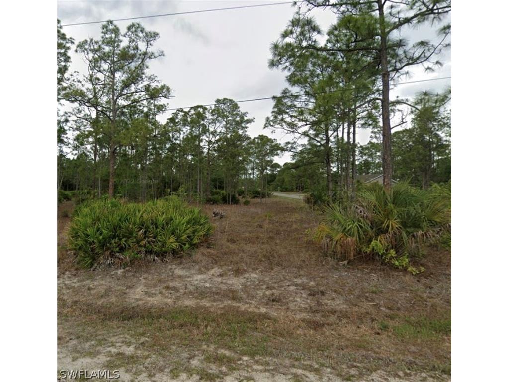 1225 Cleveland Avenue Lehigh Acres FL 33972 224054774 image1