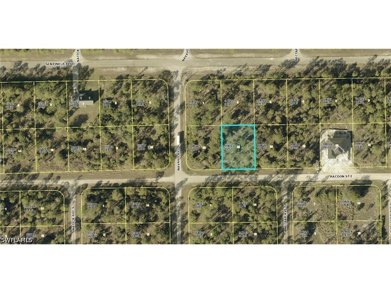 1225 Racoon Street E Lehigh Acres FL 33974 226016989 image1