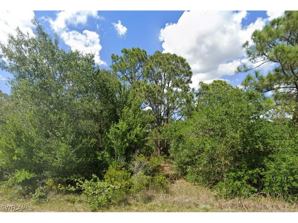 1228 Bermar Street Miromar Lakes FL 33913 226008314 image1