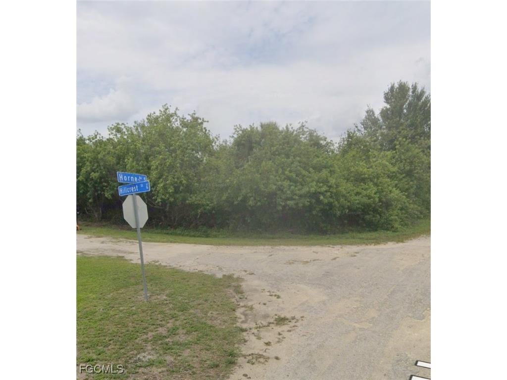 1229 Hillcrest Street E Lehigh Acres FL 33974 2025010218 image3