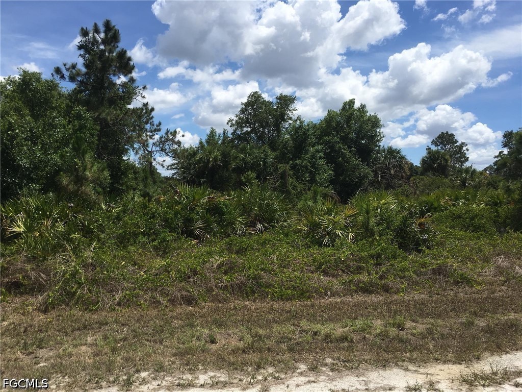 1229 Hillcrest Street E Lehigh Acres FL 33974 2026019756 image1