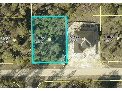 1229 Racoon Street E Lehigh Acres FL 33974 226011065 image1