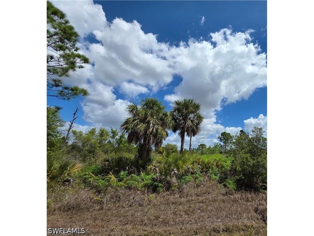 12296 Chamberlain Boulevard Port Charlotte FL 33953 226014912 image1