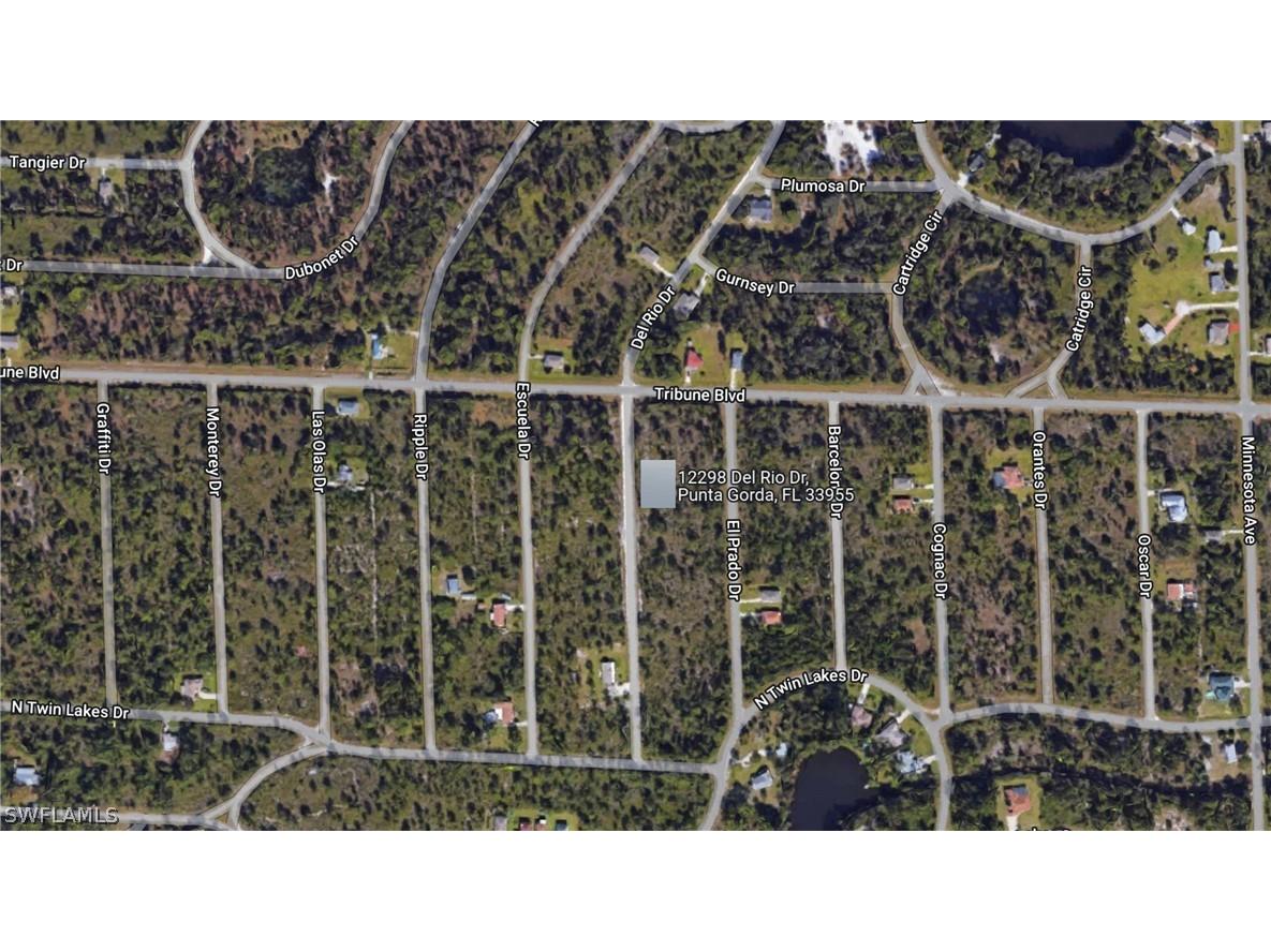 12298 Del Rio Drive Punta Gorda FL 33955 223006662 image1