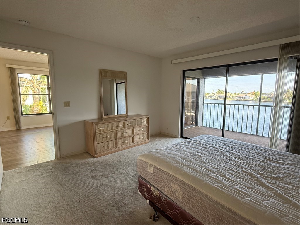 123 SW 47th Terrace #201 Cape Coral FL 33914 2026014250 image31