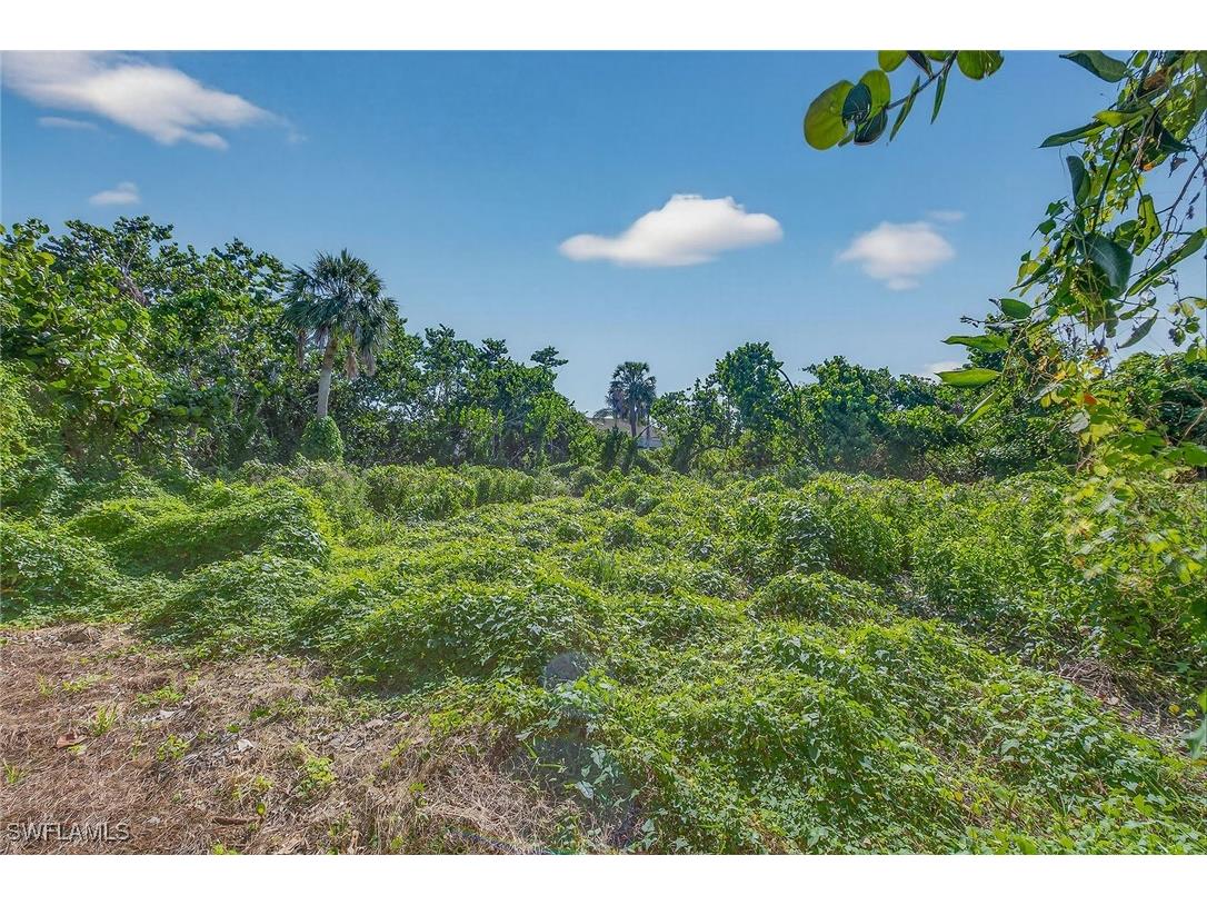 123 Sea Lavender Lane Marco Island FL 34145 225074837 image33