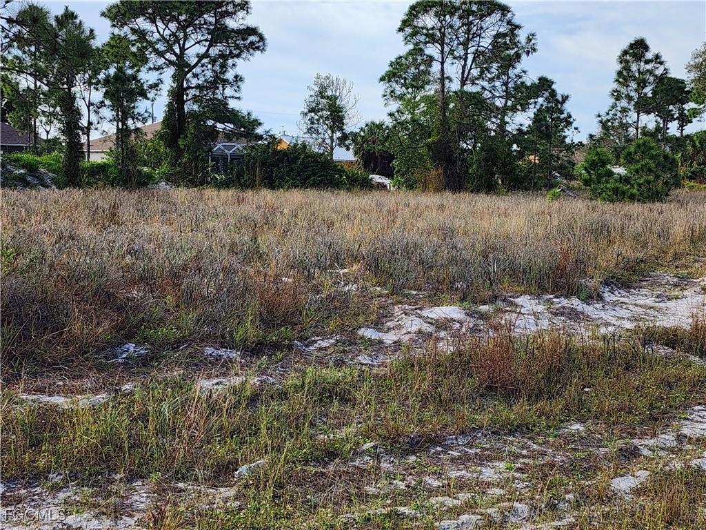 1230 Edelweiss Street E Lehigh Acres FL 33974 2025009854 image4