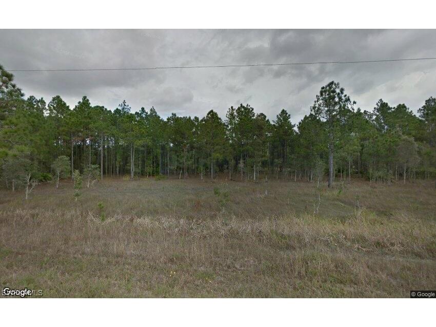 1231 Raccoon Street Lehigh Acres FL 33974 224003751 image1