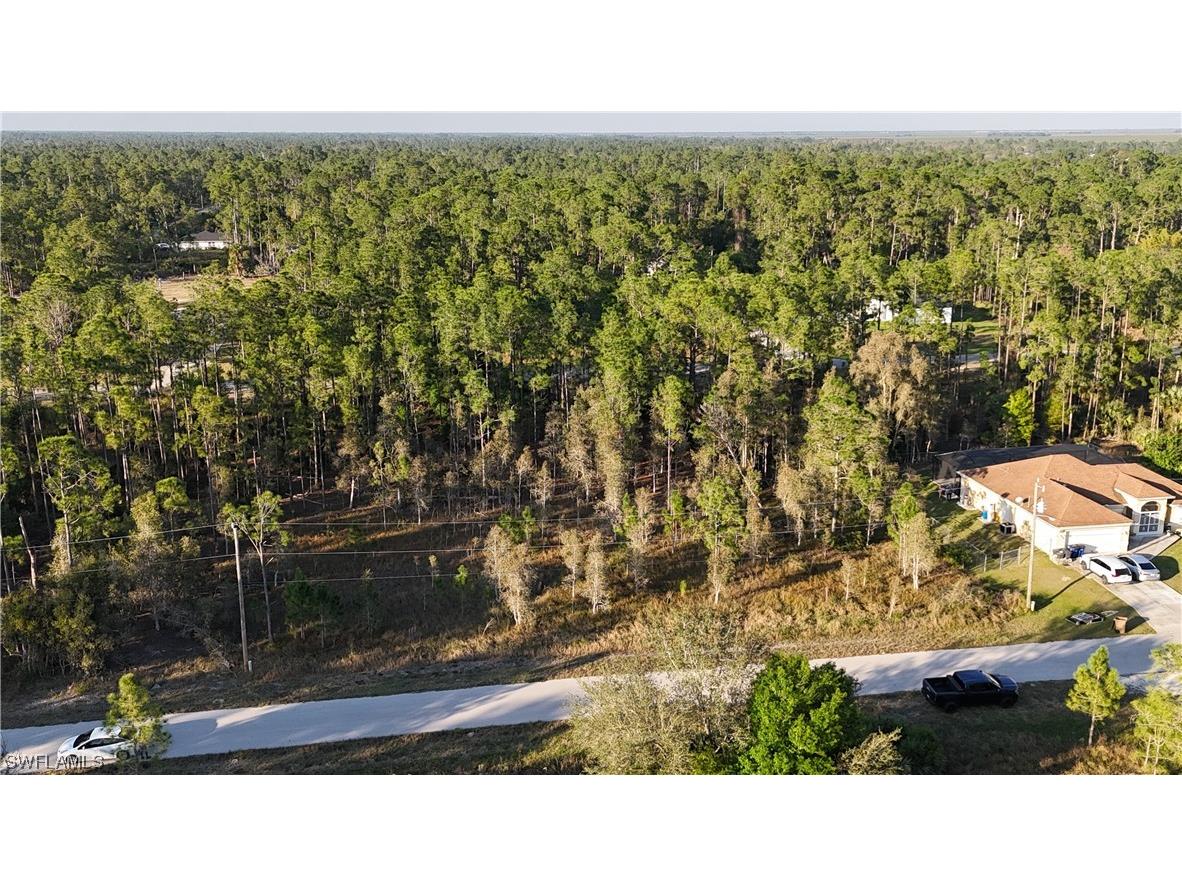 1231 Raccoon Street Lehigh Acres FL 33974 224010908 image1