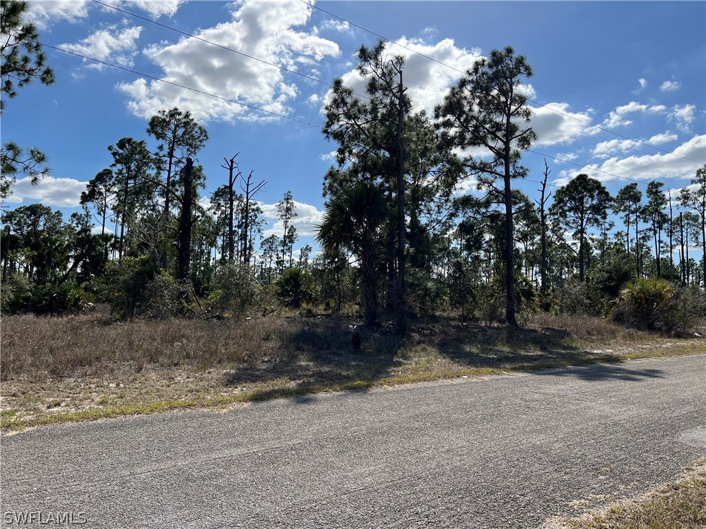 1232 Ecclesia Street E Lehigh Acres FL 33974 222014424 image1