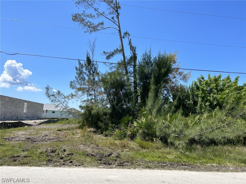 1232 NW 26th Place Cape Coral FL 33993 223065242 image1