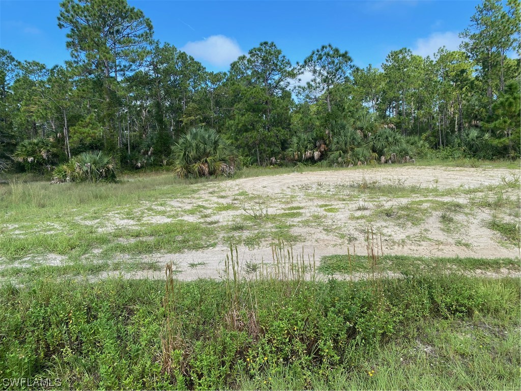 1234 4th Street NE Naples FL 34120 223063513 image1