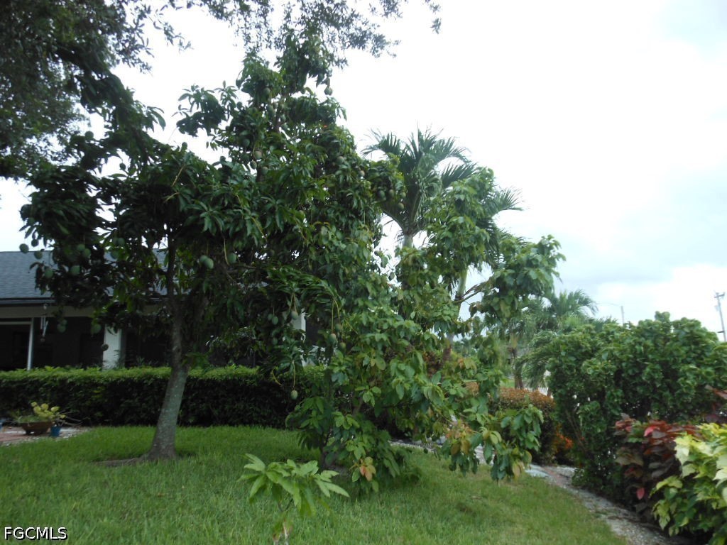 1236 Everest Parkway Cape Coral FL 33904 2026028078 image42
