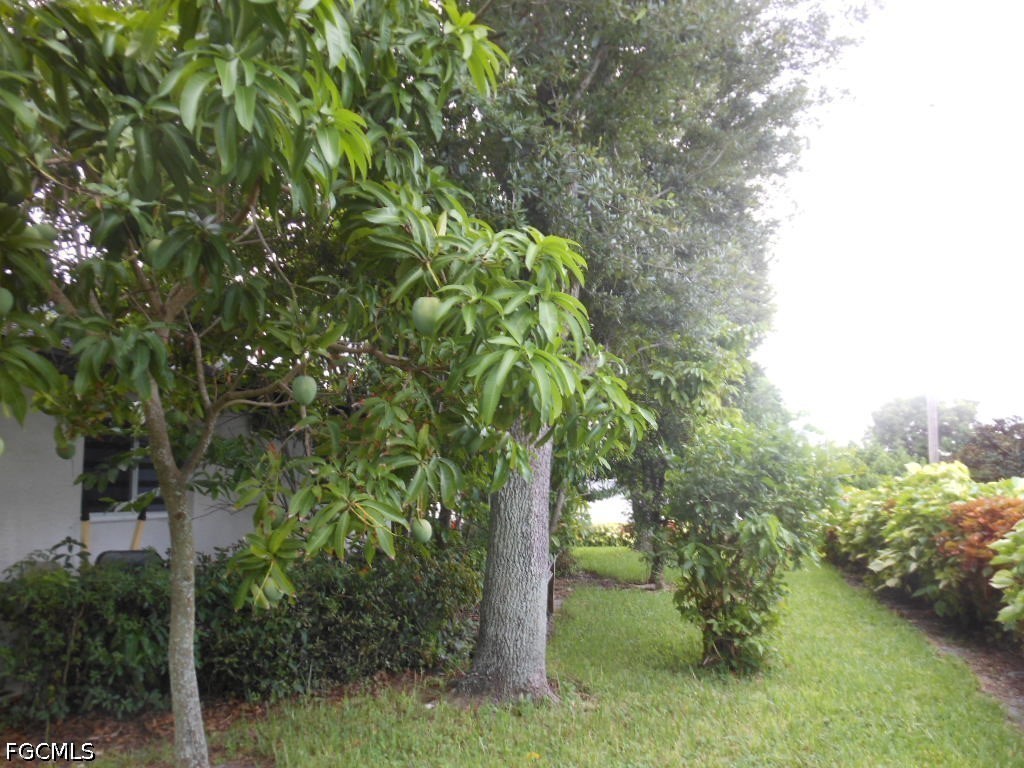 1236 Everest Parkway Cape Coral FL 33904 2026028078 image46