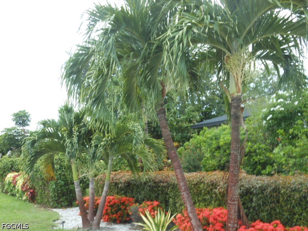 1236 Everest Parkway Cape Coral FL 33904 2026028078 image48