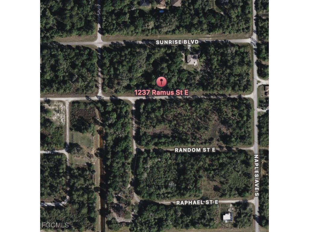 1237 Ramus Street E Lehigh Acres FL 33974 2025014800 image2