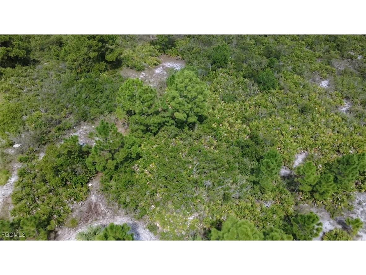 1238 Garibaldi Street E Lehigh Acres FL 33974 2025013034 image1