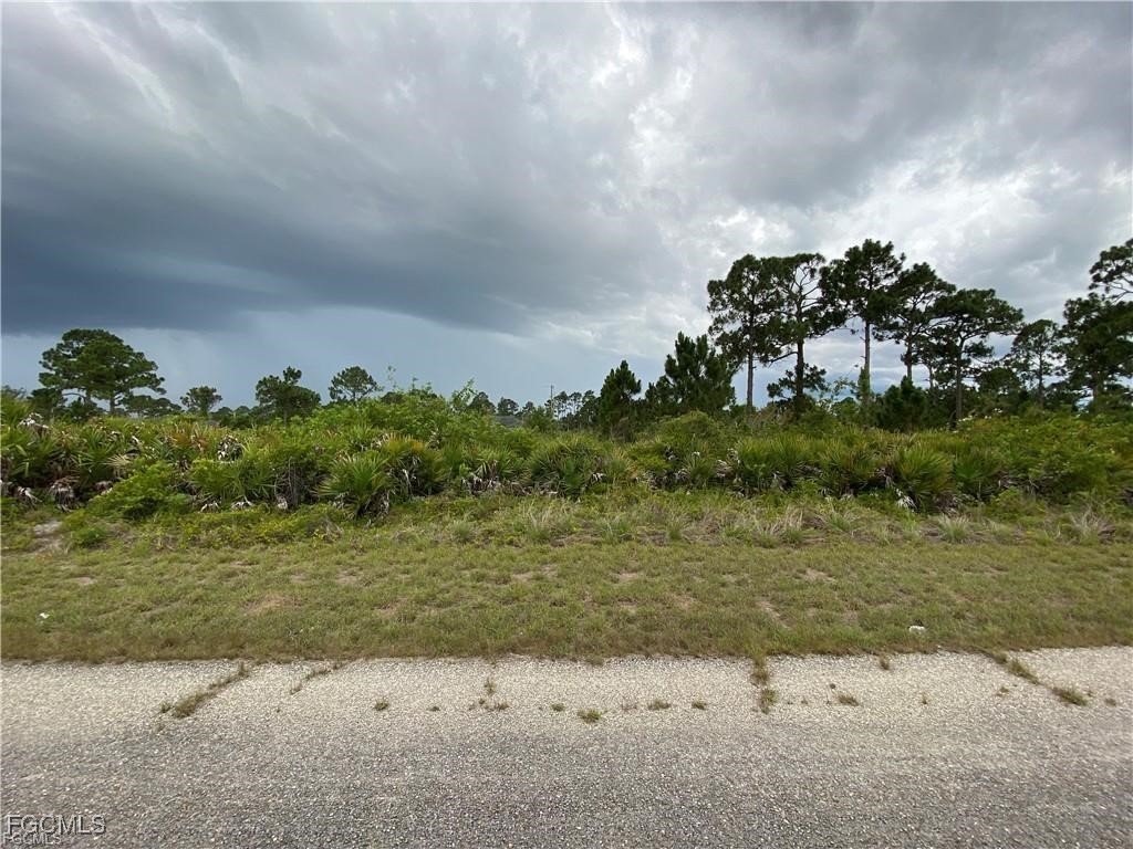 1238 Garibaldi Street E Lehigh Acres FL 33974 2025013034 image3