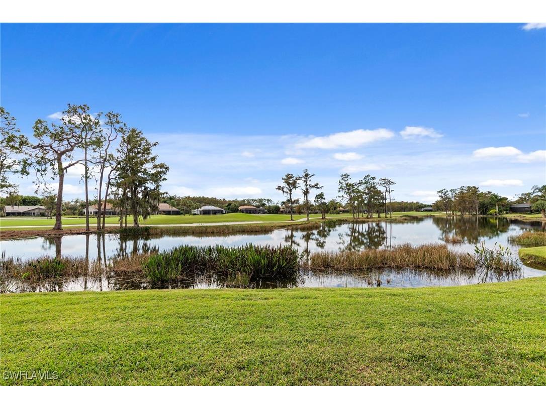 12384 Eagle Court Estero FL 33928 225078492 image40