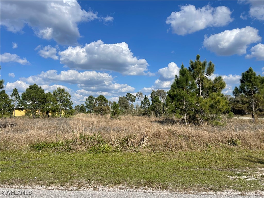 1239 Denver Street E Lehigh Acres FL 33974 225027423 image1