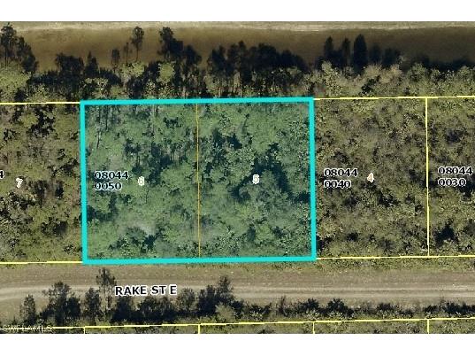 1239 Rake Street E Lehigh Acres FL 33974 226011067 image1