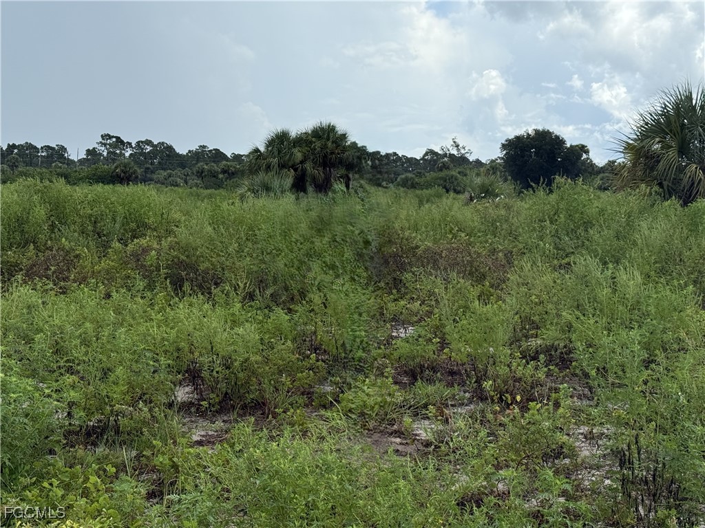 124 Ardmore Circle Labelle FL 33935 2025003956 image1