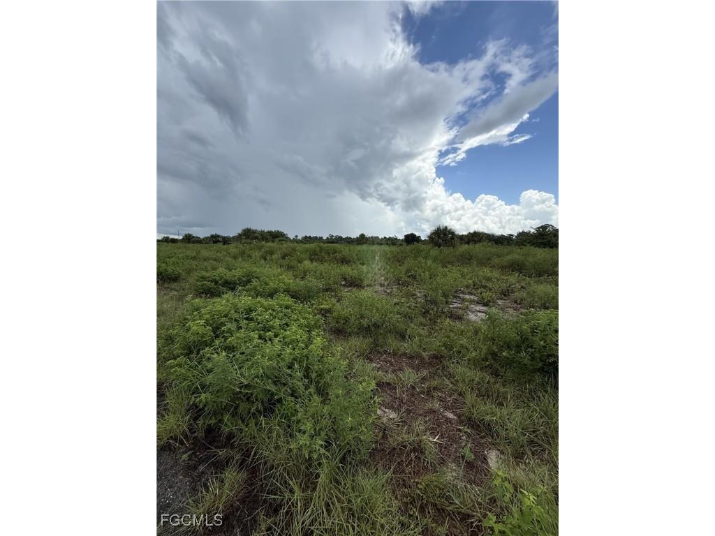 124 Ardmore Circle Labelle FL 33935 2025003956 image2