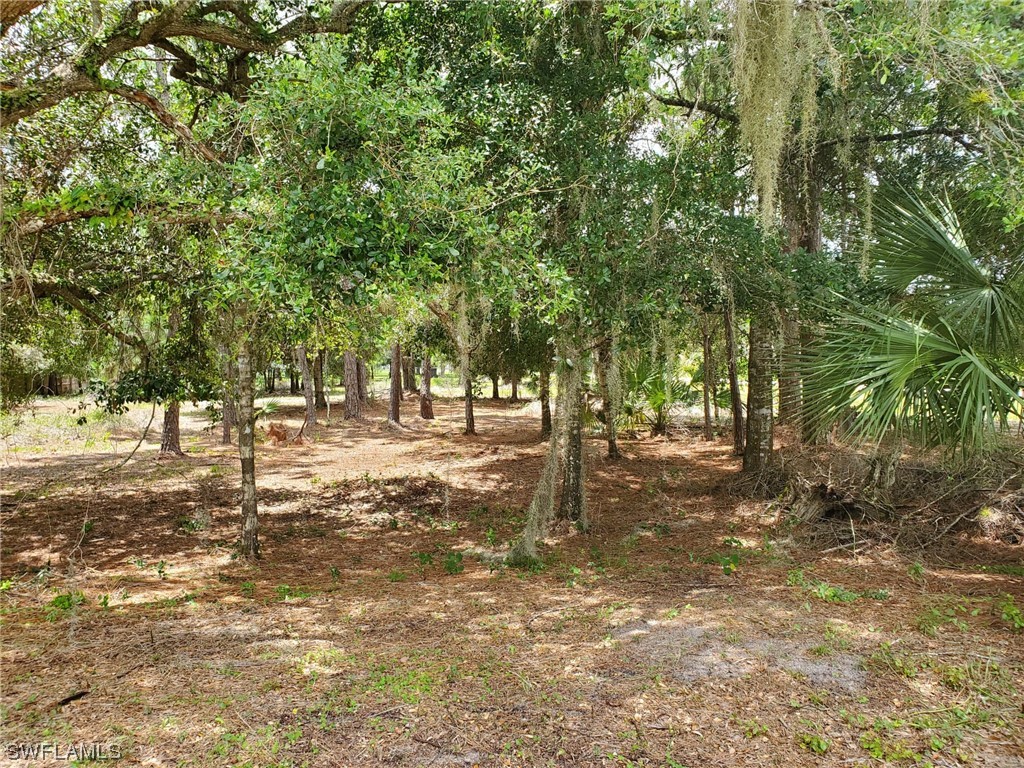 124 Avenida Del Sur Montura Ranches FL 33440 223036566 image1