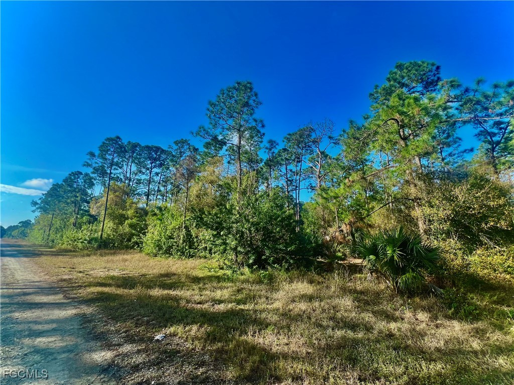 124 Nassau Avenue Lehigh Acres FL 33974 2025018916 image2