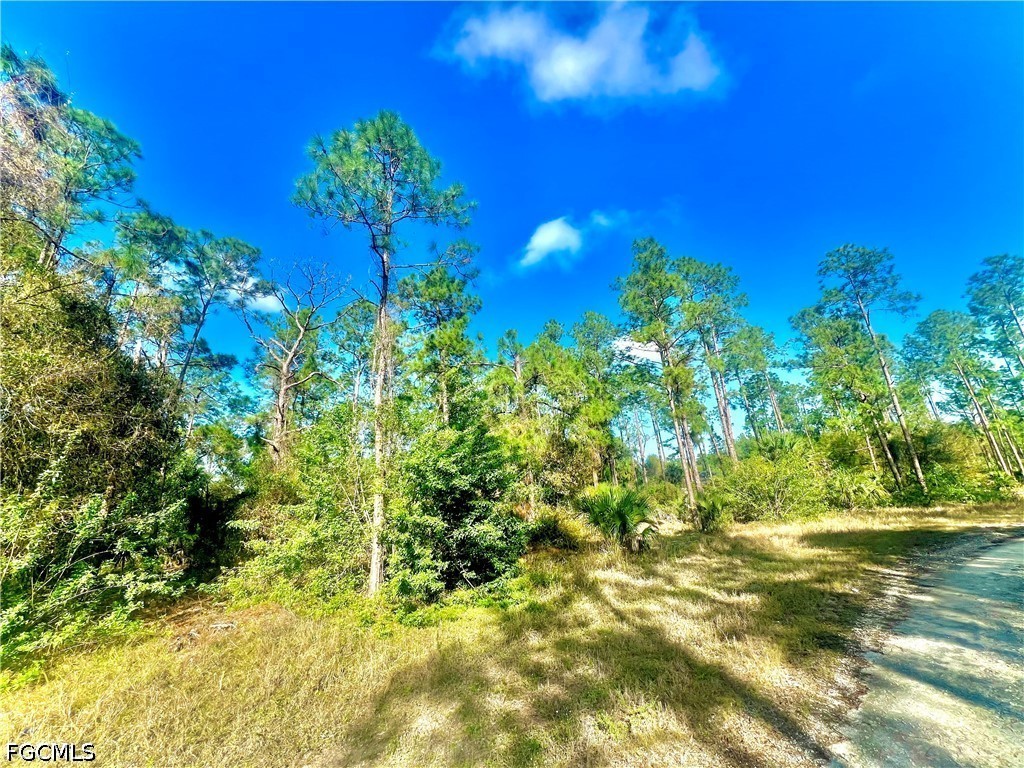 124 Nassau Avenue Lehigh Acres FL 33974 2026018637 image1
