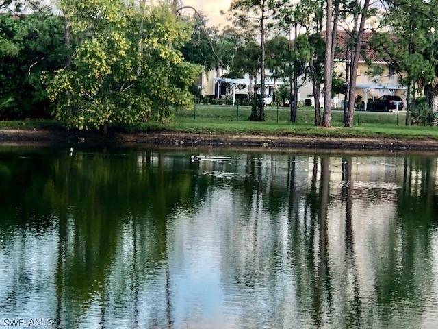 124 Santa Clara Drive #15 Naples FL 34104 226009907 image37