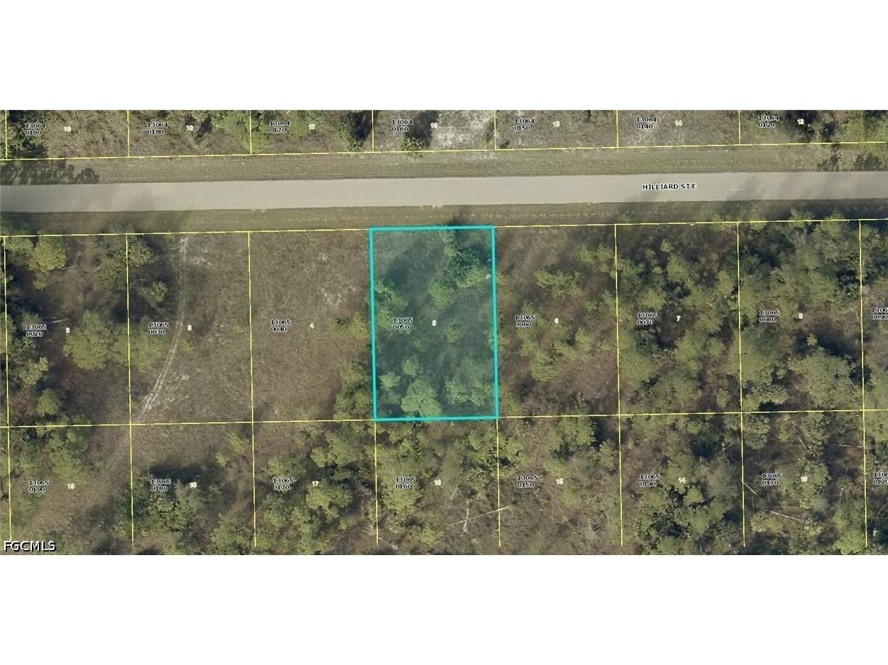 1240 Hilliard Street E Lehigh Acres FL 33974 2026018726 image1